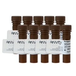 Revvity Health Sciences Inc&nbsp;ViaStain CFSE