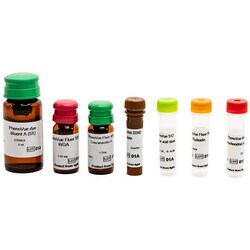 Revvity Health Sciences Inc PhenoVue Cell Painting JUMP Kit 1 x 384-wells