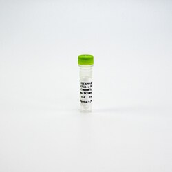 Revvity Health Sciences Inc&nbsp;HTRF Human & Mouse Phospho-ATG14 (Ser29) Detection Kit, Control Lysate