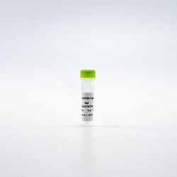 Revvity Health Sciences Inc&nbsp;HTRF AAV3B Detection Kit Standard