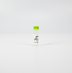 Revvity Health Sciences Inc HTRF Human MMP1 Detection Kit Standard