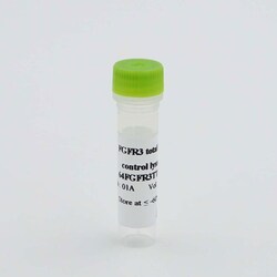 Revvity Health Sciences Inc&nbsp;HTRF Human Total FGFR3 Detection Kit, Control Lysate