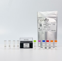 Revvity Health Sciences Inc&nbsp;HTRF Human Phospho-DDR1 (Tyr513) Detection Kit, 10,000 Assay Points