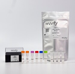 Revvity Health Sciences Inc&nbsp;HTRF Human Total c-RAF Detection Kit, 50,000 Assay Points