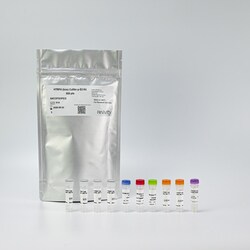 Revvity Health Sciences Inc&nbsp;HTRF Human & Mouse Phospho-Cofilin (Ser3) Detection Kit, 500 Assay Points