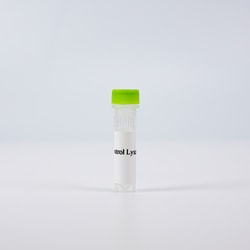 Revvity Health Sciences Inc&nbsp;HTRF Human Total DDR1 Detection Kit, Control Lysate