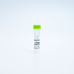 Revvity Health Sciences Inc HTRF Human & Mouse Phospho-CDK1 (Thr14) Detection Kit, Control Lysate