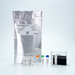 Revvity Health Sciences Inc HTRF Human Ataxin 2 Mutant Detection Kit, 500 Assay Points