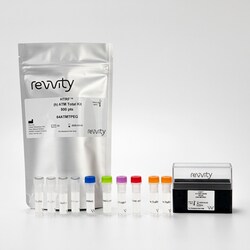 Revvity Health Sciences Inc&nbsp;HTRF Human Total ATM Detection Kit, 500 Assay Points