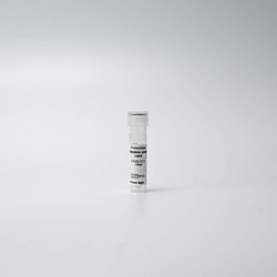 Revvity Health Sciences Inc PhenoVue anti-Nestin antibody 100X, Quantity:
