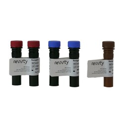 Revvity Health Sciences Inc Cellaca PLX, anti-human CD4 PE/CD8 APC Total Cell Kit, 100 Tests