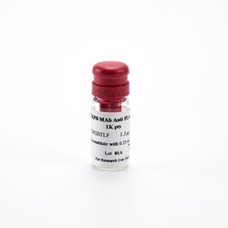 Revvity Health Sciences Inc HTRF mAb Anti-FLAG Tb-Conjugate, 5,000 Assay Points