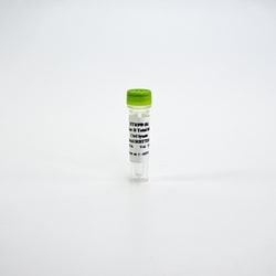Revvity Health Sciences Inc HTRF Human Total Aurora B Detection Kit, Control Lysate