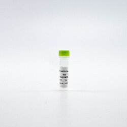 Revvity Health Sciences Inc HTRF AAV6 Detection Kit Standard