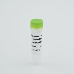 Revvity Health Sciences Inc&nbsp;HTRF Human & Mouse Total &beta;-Arrestin 1 Detection Kit, Control Lysate