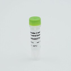 Revvity Health Sciences Inc&nbsp;HTRF Human & Mouse Total &beta;-Arrestin 2 Detection Kit, Control Lysate