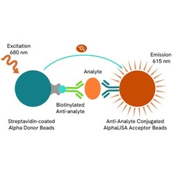Revvity Health Sciences Inc&nbsp;AlphaLISA Rhesus IL-4 Detection Kit, 5,000 Assay Points
