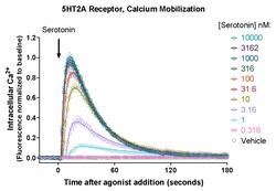 Montana Molecular&nbsp;G-GECO Calcium sensor Big Sky BacMam 5mL