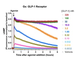 Montana Molecular&nbsp;Green Upward cADDis cAMP sensor Big Sky BacMam 5mL