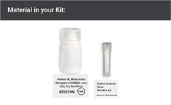 Montana Molecular Human M2 Muscarinic Receptor (hM2R, CHRM2, ACM2) Big Sky BacMam, 15mL