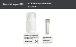 Montana Molecular&nbsp;Human C-C Chemokine Receptor Type 5 (CCR5) BacMam, 30mL