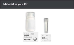 Montana Molecular&nbsp;Human Serotonin 5-HT2A Receptor (HTR2A, 5HT2AR) BacMam, 30mL
