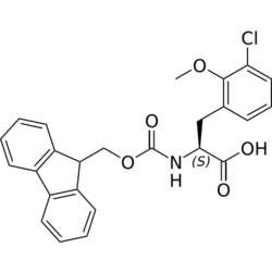 STA PHARMACEUTICAL US LLC&nbsp;Fmoc-L-Phe(2OMe-3Cl)-OH | 25 g | InChIKey NPKDIANHNFYZMU-QFIPXVFZSA-N | MW 451.903