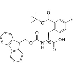 STA PHARMACEUTICAL US LLC&nbsp;Fmoc-L-Phe(2COOtBu-4F)-OH | 10 g | InChIKey VQMFJLJLVBWDHY-VWLOTQADSA-N | MW 505.542