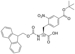 STA PHARMACEUTICAL US LLC&nbsp;Fmoc-L-Phe(2NO2-4COOtBu)-OH | 10 g | InChIKey MGPYPEOWAVEJNL-DEOSSOPVSA-N | MW 532.549