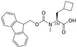 STA PHARMACEUTICAL US LLC&nbsp;Fmoc-MeAla(cBu)-OH | 10 g | CAS 2407819-94-5 | InChIKey VRPXUVWVESGNRD-NRFANRHFSA-N