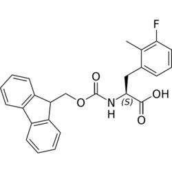 STA PHARMACEUTICAL US LLC&nbsp;Fmoc-L-Phe(2Me-3F)-OH | 10 g | InChIKey WHCONIFOXGAYGN-QHCPKHFHSA-N | MW 419.452