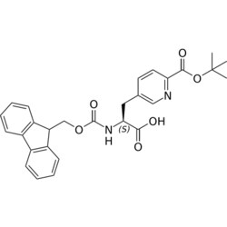 STA PHARMACEUTICAL US LLC&nbsp;Fmoc-L-5-Pal(2-COOtBu)-OH | 25 g | InChIKey SYPIPAISPRJIDO-DEOSSOPVSA-N | MW 488.54