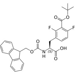 STA PHARMACEUTICAL US LLC&nbsp;Fmoc-L-Phe(2,4-2F-3COOtBu)-OH | 10 g | InChIKey VKFNJVKKCFRRJW-QHCPKHFHSA-N | MW 523.533