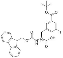 STA PHARMACEUTICAL US LLC&nbsp;Fmoc-L-Phe(3F-5COOtBu)-OH | 100 g | InChIKey XDDUXPMFVFWQPT-VWLOTQADSA-N | MW 505.542