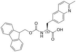 STA PHARMACEUTICAL US LLC&nbsp;Fmoc-L-6-Quinoline(2-Me)-OH | 1 g | CAS 2002477-91-8 | InChIKey XFWIFTLRZYWYGW-SANMLTNESA-N