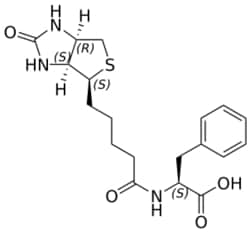 STA PHARMACEUTICAL US LLC&nbsp;N-biotinyl-L-phenylalanine | 1 g | CAS 231280-26-5 | InChIKey MCMKASCMNHIQTP-JKQORVJESA-N