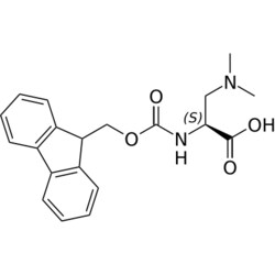 STA PHARMACEUTICAL US LLC&nbsp;Fmoc-L-Dap(diMe)-OH | 25 g | CAS 587880-86-2 | MDL MFCD02682424