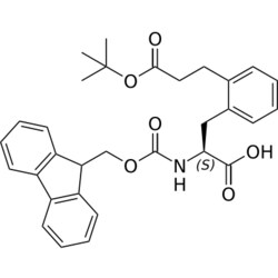 STA PHARMACEUTICAL US LLC&nbsp;Fmoc-L-Phe(2-C2H4COOtBu)-OH | 5 g | InChIKey NNLQPNRVZZGBLI-MHZLTWQESA-N | MW 515.606