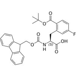 STA PHARMACEUTICAL US LLC&nbsp;Fmoc-L-Phe(2COOtBu-5F)-OH | 100 g | InChIKey NPEKPPBEPPBWHD-VWLOTQADSA-N | MW 505.542