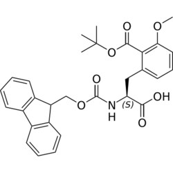 STA PHARMACEUTICAL US LLC&nbsp;Fmoc-L-Phe(2COOtBu-3OMe)-OH | 50 g | InChIKey QTYIRZKFQNSSAE-DEOSSOPVSA-N | MW 517.578