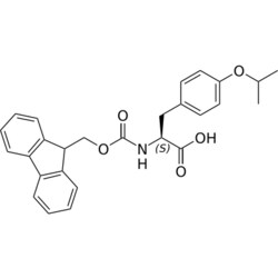 STA PHARMACEUTICAL US LLC&nbsp;Fmoc-L-Phe(4-OiPr)-OH | 1 g | CAS 1496563-23-5 | InChIKey QYFAVKQOQZZDKW-VWLOTQADSA-N