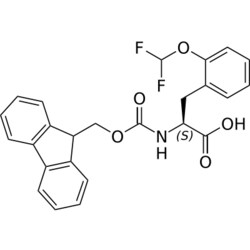 STA PHARMACEUTICAL US LLC&nbsp;Fmoc--L-Phe(2-OCHF2)-OH | 10 g | InChIKey BVTWDHCIGMLTES-NRFANRHFSA-N | MW 453.442