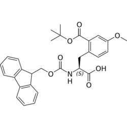 STA PHARMACEUTICAL US LLC&nbsp;Fmoc-L-Phe(2COOtBu-4OMe)-OH | 25 g | InChIKey QCYURPOGUFACDF-SANMLTNESA-N | MW 517.578