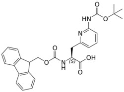 STA PHARMACEUTICAL US LLC&nbsp;Fmoc-L-6-Pal(2-NHBoc)-OH | 50 g | InChIKey NFRKQNUIPQCZRI-QHCPKHFHSA-N | MW 503.555