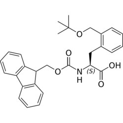 STA PHARMACEUTICAL US LLC&nbsp;Fmoc-L-Phe(2-CH2OtBu)-OH | 10 g | InChIKey ADHGXUHCKHMREC-SANMLTNESA-N | MW 473.569