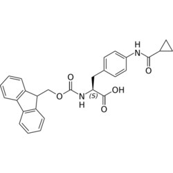 STA PHARMACEUTICAL US LLC&nbsp;(S)-2-((((9H-fluoren-9-yl)methoxy)carbonyl)amino)-3-(4-(cyclopropanecarboxamido)phenyl)propanoic acid | 10 g | InChIKey JZKGXUOSZDVLPB-VWLOTQADSA-N | MW 470.525