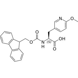 STA PHARMACEUTICAL US LLC&nbsp;Fmoc-L-5-Pal(2-OMe)-OH | 1 g | CAS 1821775-88-5 | InChIKey GKAFXBQOQLCXDC-NRFANRHFSA-N