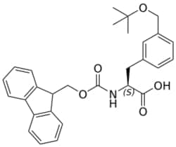 STA Pharmaceutical&nbsp;Fmoc-L-Phe(3-CH2OtBu)-OH | 1 g | InChIKey FMQDEQIOAVYNHZ-SANMLTNESA-N | MW 473.569