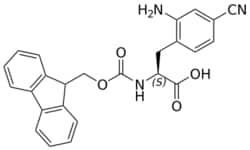 STA PHARMACEUTICAL US LLC&nbsp;Fmoc-L-Phe(2NH2-4CN)-OH | 5 g | InChIKey HRIUXVVZPWLTJB-QHCPKHFHSA-N | MW 427.46