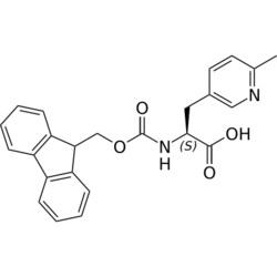 STA PHARMACEUTICAL US LLC&nbsp;Fmoc-L-5-Pal(2-Me)-OH | 25 g | CAS 1997435-75-2 | InChIKey DQWUHKOMKKTKNO-QFIPXVFZSA-N